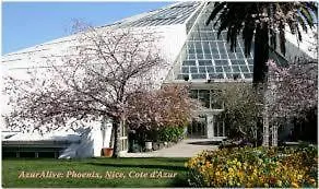 Nice Promenade Des Anglais Apartment